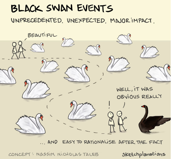 illustration of the composite factors of a 'Black Swan Event' - an unexpected, unprecedented and out of the ordinary pattern event