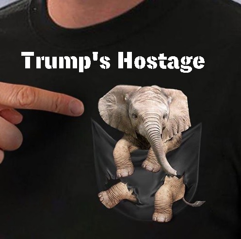 meme titled "Trump's Hostage" showing a tiny Elephant in a T Shirt pocket